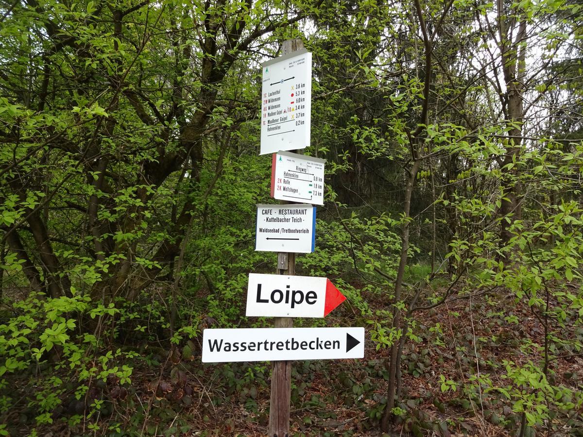 Appartamento Henne Hahnenklee Goslar Esterno foto