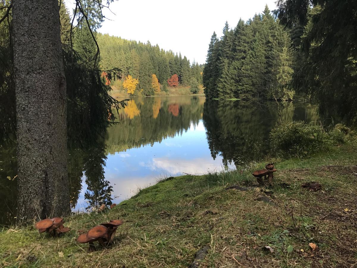 Appartamento Henne Hahnenklee Goslar Esterno foto